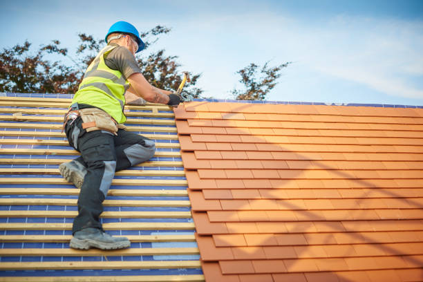 Best Cold Roofs  in Wintersville, OH